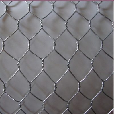 Gabion Mesh Pvc Coated Hexagonal Wire Netting 1/2" 2" 2.0-4.0mm Gauge Iron Wire